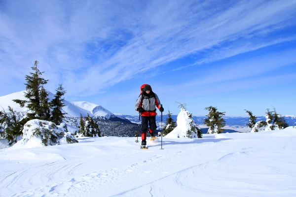 Winter hiking in snowshoes. — Stock Photo, Image