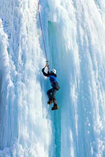 Ice climbing the waterfall. Stock Picture