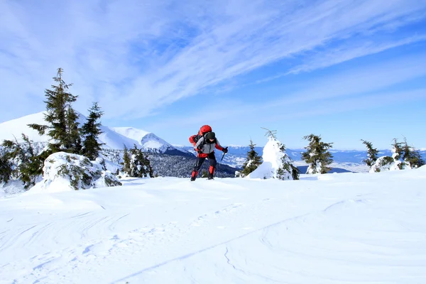 Caminata de invierno en raquetas de nieve . — Foto de Stock