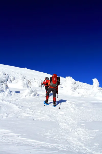 Χειμερινή ανάβαση για χιονοπέδιλα. — Φωτογραφία Αρχείου