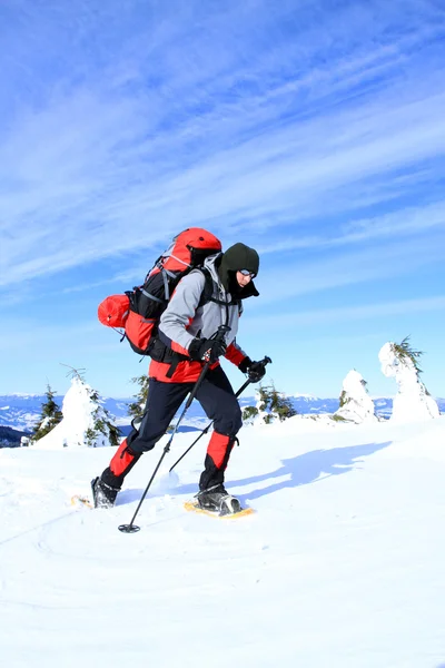 Winter wandeling op sneeuwschoenen. — Stockfoto