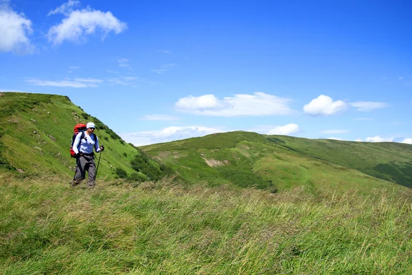 Zomerwandelingen in de bergen. — Stockfoto