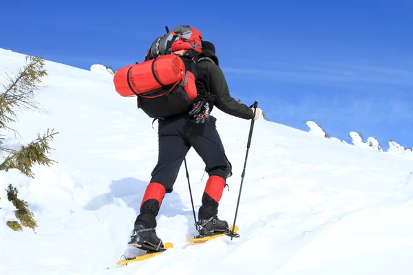 Caminata de invierno en raquetas de nieve . — Foto de Stock