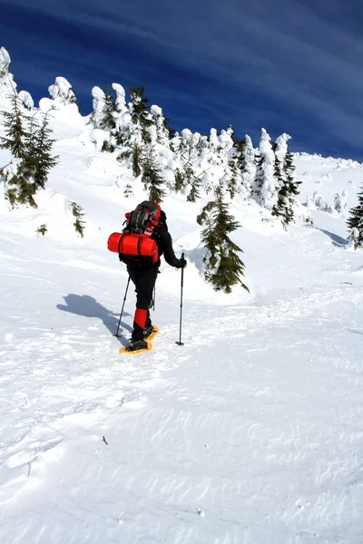 Caminhada de inverno em sapatos de neve . — Fotografia de Stock