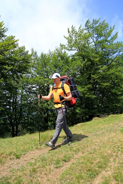 山の中の夏のハイキング. — ストック写真