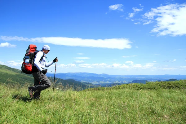 Yaz yürüyüşü dağlarda.