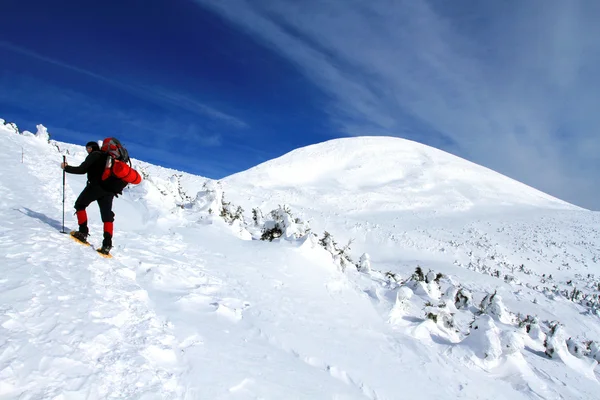 冬季徒步上滑雪鞋. — 图库照片