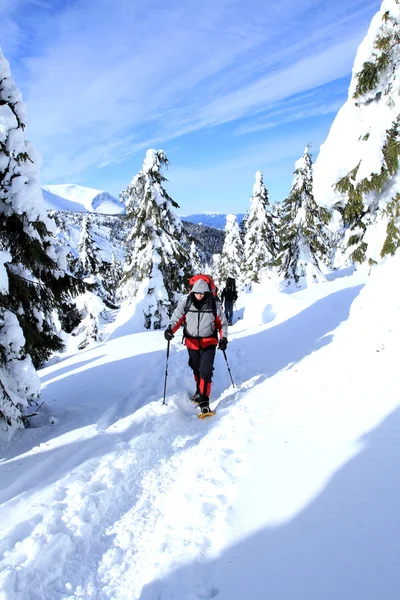Winter hike on snowshoes. — Stock Photo, Image