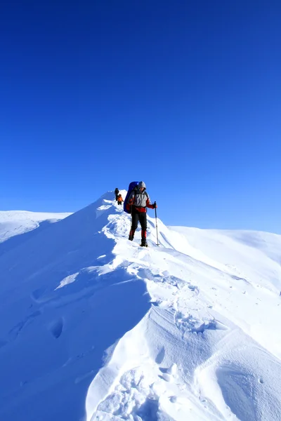 Winterwandelen in sneeuwschoenen. — Stockfoto