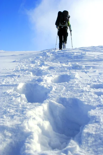 Winter hike. — Stock Photo, Image