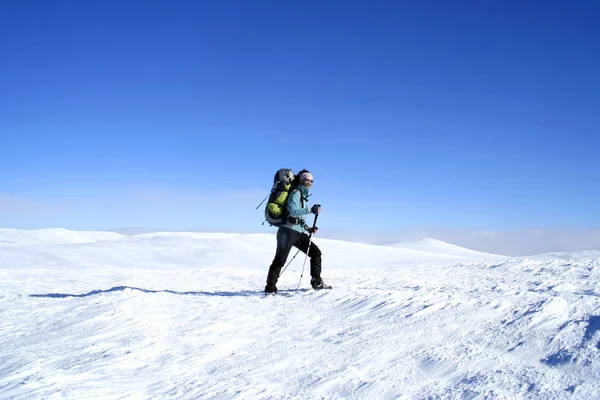 Caminata de invierno . — Foto de Stock