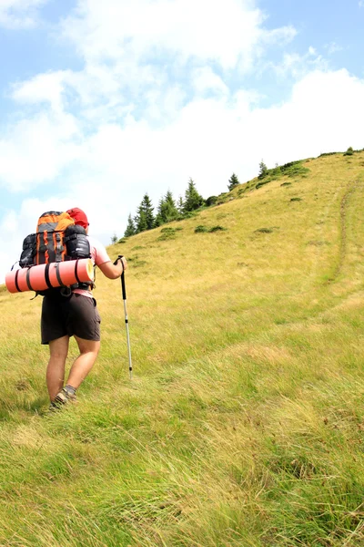 Zomerwandelingen in de bergen. — Stockfoto