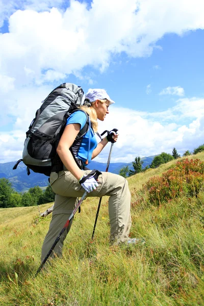 Sommerwandern in den Bergen. — Stockfoto