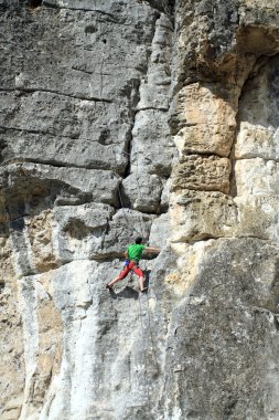 Kaya tırmanıcısı