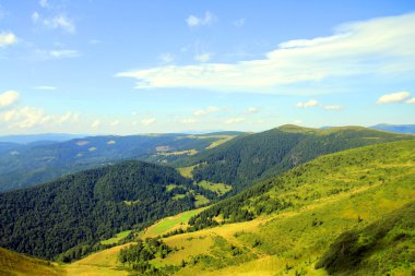 Yeşil çimenli, yollu ve bulutlu yaz manzarası