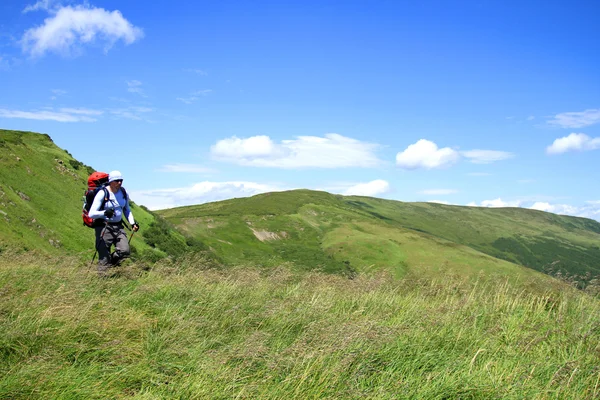 Zomerwandelingen in de bergen. — Stockfoto