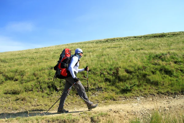 Escursioni estive in montagna. — Foto Stock