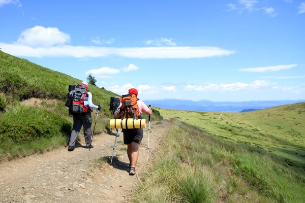 Zomerwandelingen in de bergen. — Stockfoto