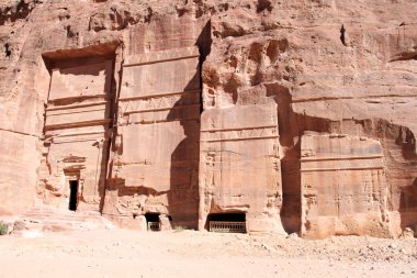 ahşap kesme tahtası üzerinde dal taze nane.