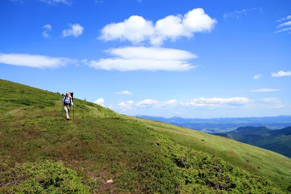 Zomerwandelingen in de bergen. — Stockfoto