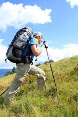 Yaz yürüyüşü dağlarda.