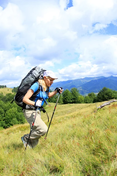 Escursioni estive in montagna. — Foto Stock