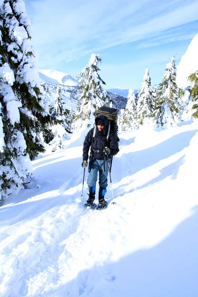 冬のハイキング. — ストック写真