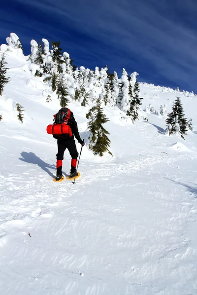 Winter hike. — Stock Photo, Image