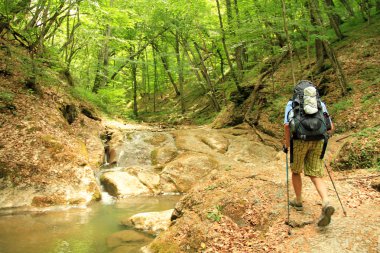 Yaz yürüyüşü dağlarda.