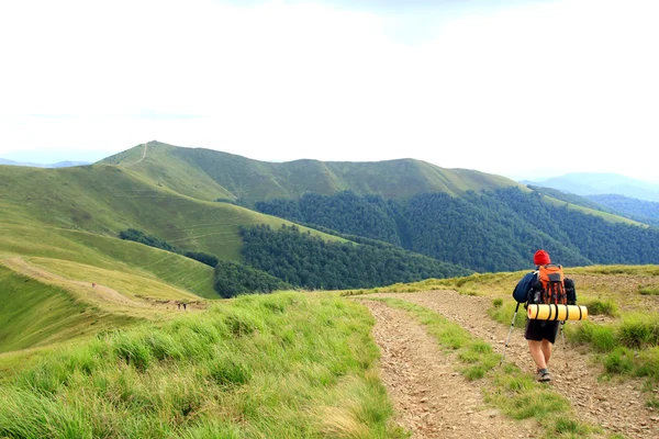 Zomerwandelingen in de bergen. — Stockfoto