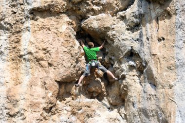 Kaya tırmanıcısı