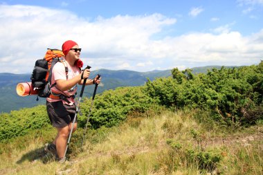 Yaz yürüyüşü dağlarda.