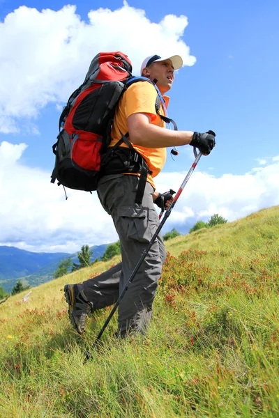 Zomerwandelingen in de bergen. — Stockfoto