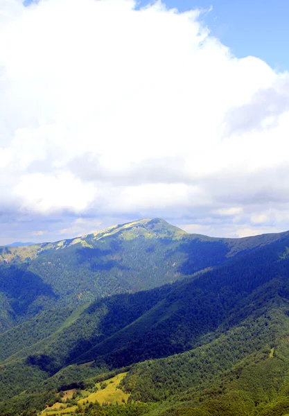 Paysage estival avec herbe verte, route et nuages — Photo