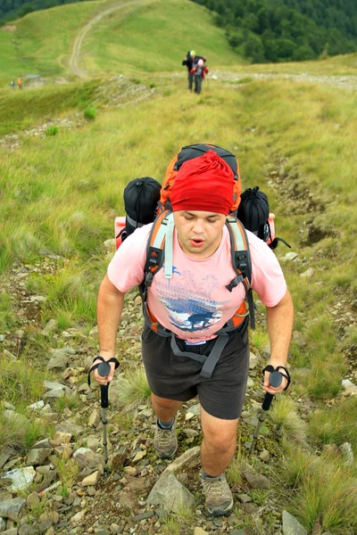 Sommerwandern in den Bergen. — Stockfoto