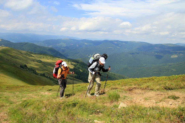 Zomerwandelingen in de bergen. — Stockfoto