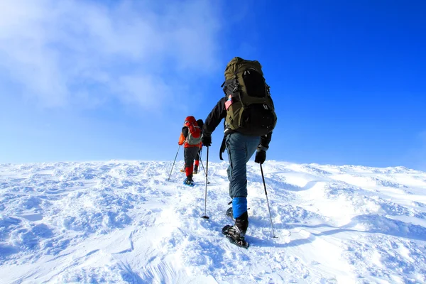 Senderismo de invierno en las montañas en raquetas de nieve . — Foto de Stock