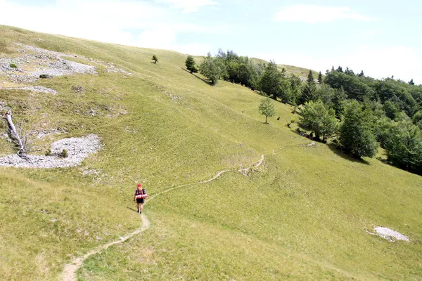 Summer hiking the Carpathians. — Stock Photo, Image