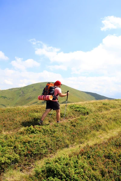 Summer hiking the Carpathians. — Stock Photo, Image