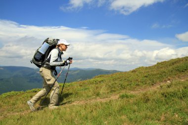 Yaz yürüyüşü dağlarda.