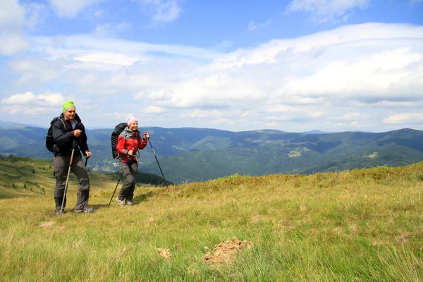 Zomerwandelingen in de bergen. — Stockfoto