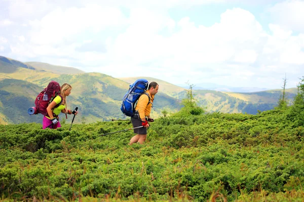 Escursioni estive in montagna. — Foto Stock