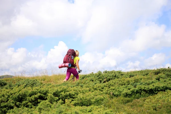 Zomerwandelingen in de bergen. — Stockfoto