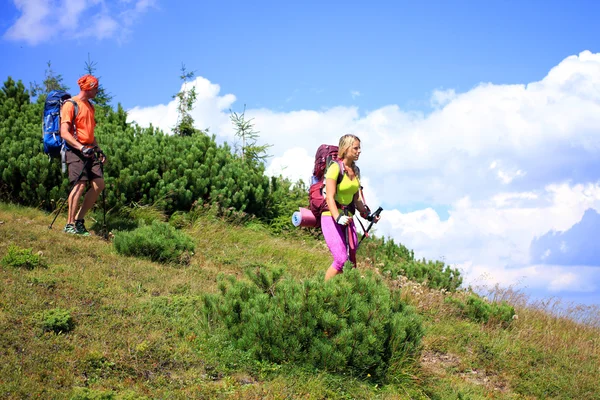 Escursioni estive in montagna. — Foto Stock