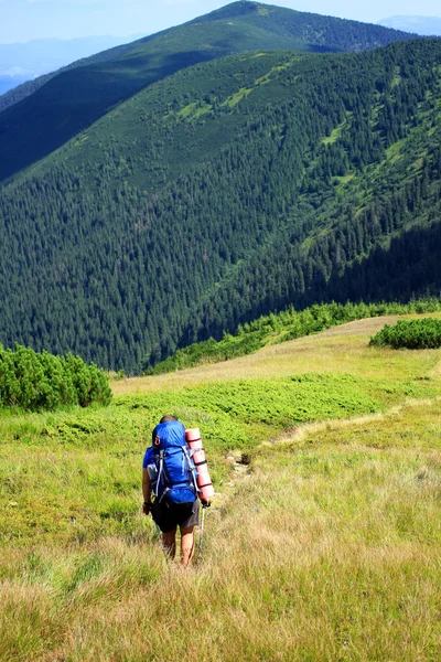 Zomerwandelingen in de bergen. — Stockfoto