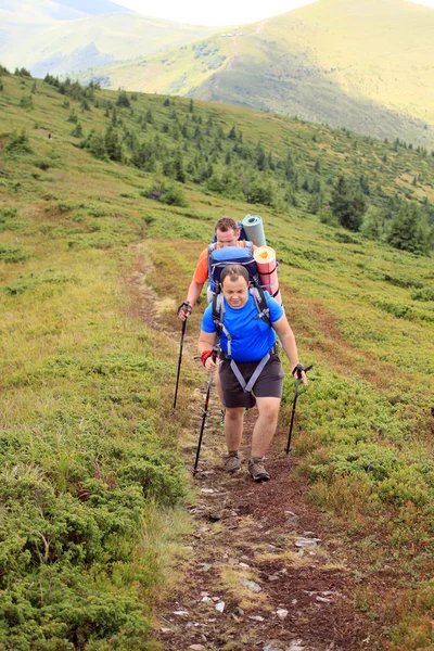 Zomerwandelingen in de bergen. — Stockfoto