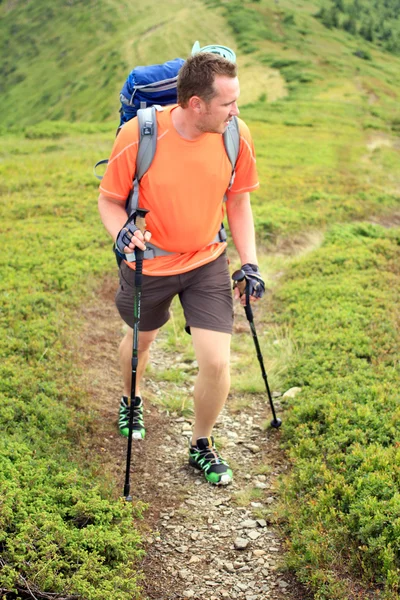 Sommerwandern in den Bergen. — Stockfoto