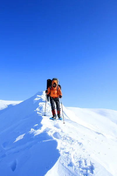 Winterwandelen in sneeuwschoenen. — Stockfoto