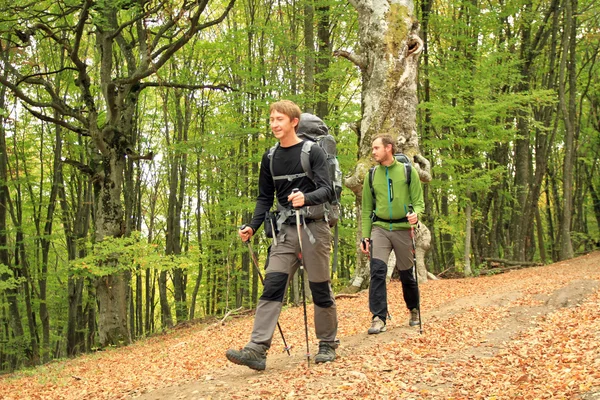 Dağlarda hiking sonbahar. — Stok fotoğraf