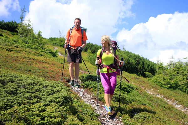 Zomerwandelingen in de bergen. — Stockfoto